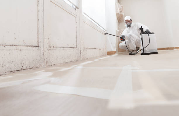 24/7 Emergency Commercial Mold Remediation experts in Greenbush, VA