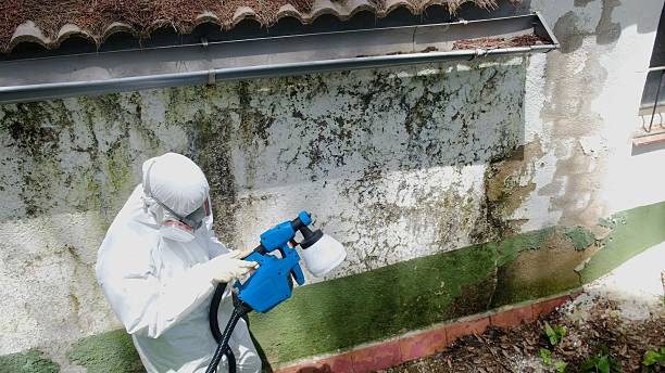 Trusted Commercial Mold Remediation service in Greenbush, VA - Cheap Mold Removal
